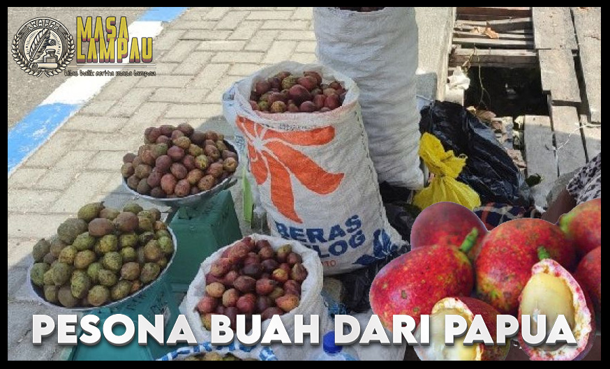 Sejarah Buah Matoa Pesona Buah dari Papua