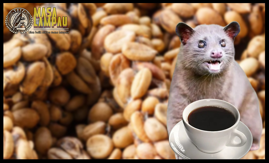 Kopi Luwak