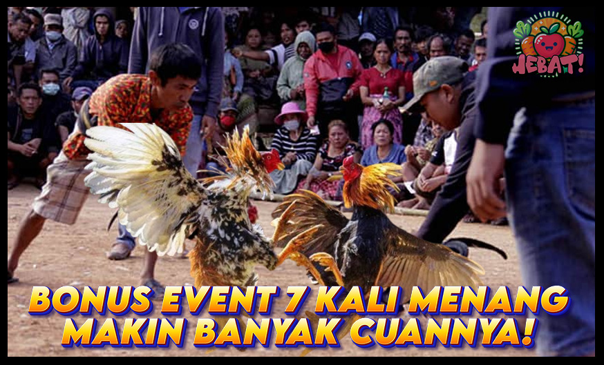 bonus sabung ayam winstreak